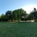 서울대공원 캠핑장 이미지