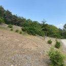 선장면 축구장 이미지