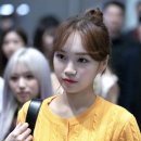 채원 이미지