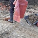 농업회사법인(주)으뜸팜