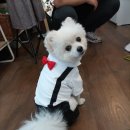 전현옥공방 이미지