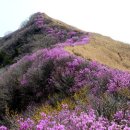 비슬산 풍경펜션 이미지