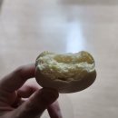 예술단 단비 | 눕는 것도 질릴 때가 온다