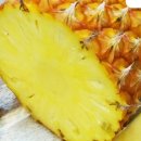 피티엠아이티 이미지