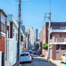 대명중앙시장 이미지