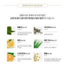 연이 디톡스