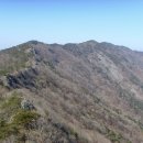 라본비 이미지
