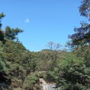 별의계곡 이미지