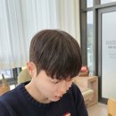 보이쉬 | 여성의 보이쉬 스타일 도전! 창원 슬릭댄디컷 다운펌 리얼후기 일루지안 유라실장