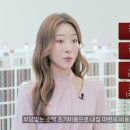 웅촌농협 하나로 마트 Daum카페