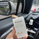 디올헤어살롱 | 미용실에서 직접 써보고 반한 에르노브 아르페쥬 헤어오일 30ml 내돈내산 후기 오래가는 향 원한다면 강추!