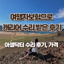 아셈마트 | 여행자보험 캐리어 바퀴 파손, 수리, 보험청구 후기 / 아셈닥터 수리 후기, 가격
