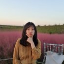 개미농장 | 가을맞이 안성팜랜드로 핑크뮬리, 코스모스 보러가기 vlog