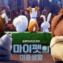 마이펫30 이미지