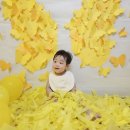 yellow Day ~~^^&amp; 이미지