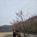 밀양 죽전 농원에서 신녕친구들과 이미지