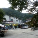 지리산사람들(지리산민들레) 이미지