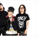 신나는세탁 이미지