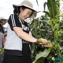 김상경 농장 뉴시스