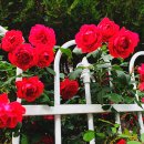 인천공촌초등학교 이미지