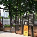 가족쉼터 이미지