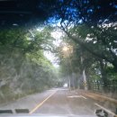 나라모텔 | (울산) 여행 울주군 상북면 숙소 등억알프스리 온천 인투 모텔