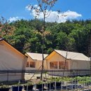 고성 탑 글램핑 농원 이미지