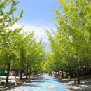 지계마을 이미지