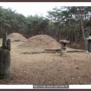 육신사(구) Daum카페