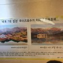 비바체(7대) 티스토리