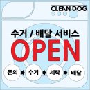 크린독 이미지