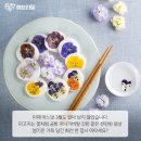 화전 이미지