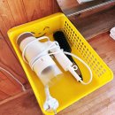 다올 | 오션뷰 맛집 우도 가족 숙소 "우도 다올펜션" 숙박 후기