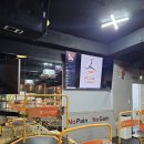 점핑캣반구점 | 점핑캣울산 점핑캣 울산반구점에서의 즐거운 점핑 경험