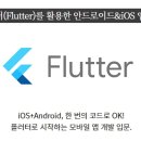 플러터(Flutter) 이미지