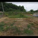 바이오밸리공인중개사사무소 이미지