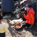 라파마을 이미지