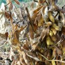 정길농장 이미지