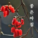 명문장 - 완도군 개포로62번길 18-4 | 명문장