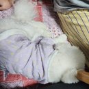 둔둔농장 이미지