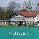 대천323콘도 네이버블로그