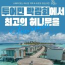 (주)삼성여행사 이미지