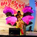 벨리댄스 Daum카페