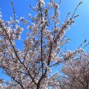 마읍천둔치 이미지