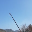모래벌농장 이미지