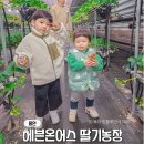 하우스인어스 | 용인 딸기체험 농장 헤븐온어스 딸기따기 체험 딸기농장 가격