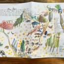 제주도작은집 작은별 이미지