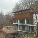 힐리언스 | 홍천 힐리언스 선마을 워크숍후기:숲속동 식사 요가 스파