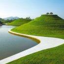 순천만 그리고 나 이미지