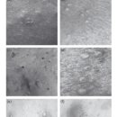 타토아의원 용인점 이미지